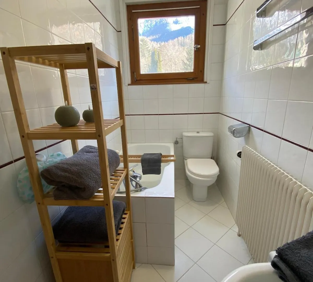 Apartment Chamonix Brise Du Mont 0*,  צרפת