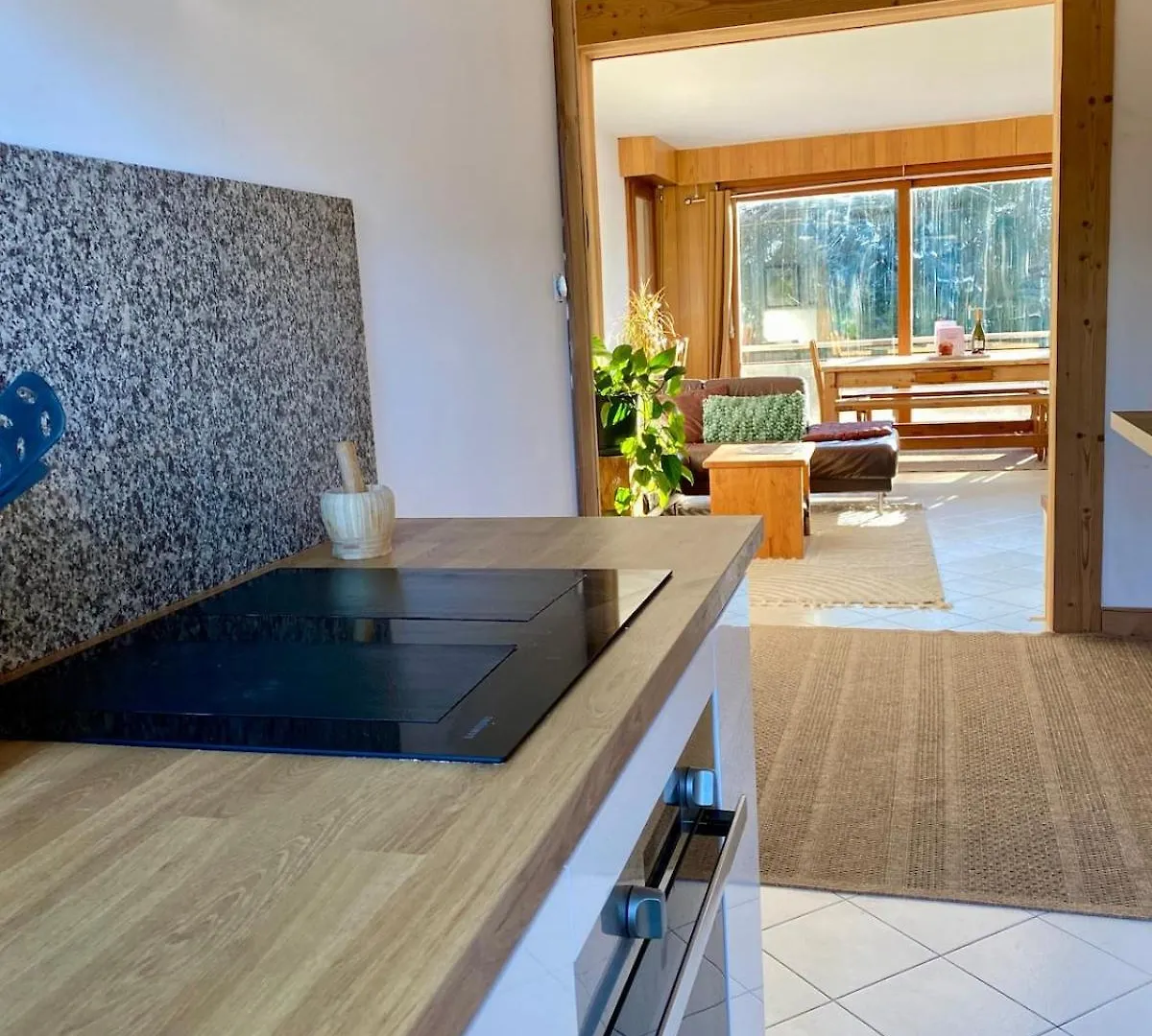 Apartment Chamonix Brise Du Mont France